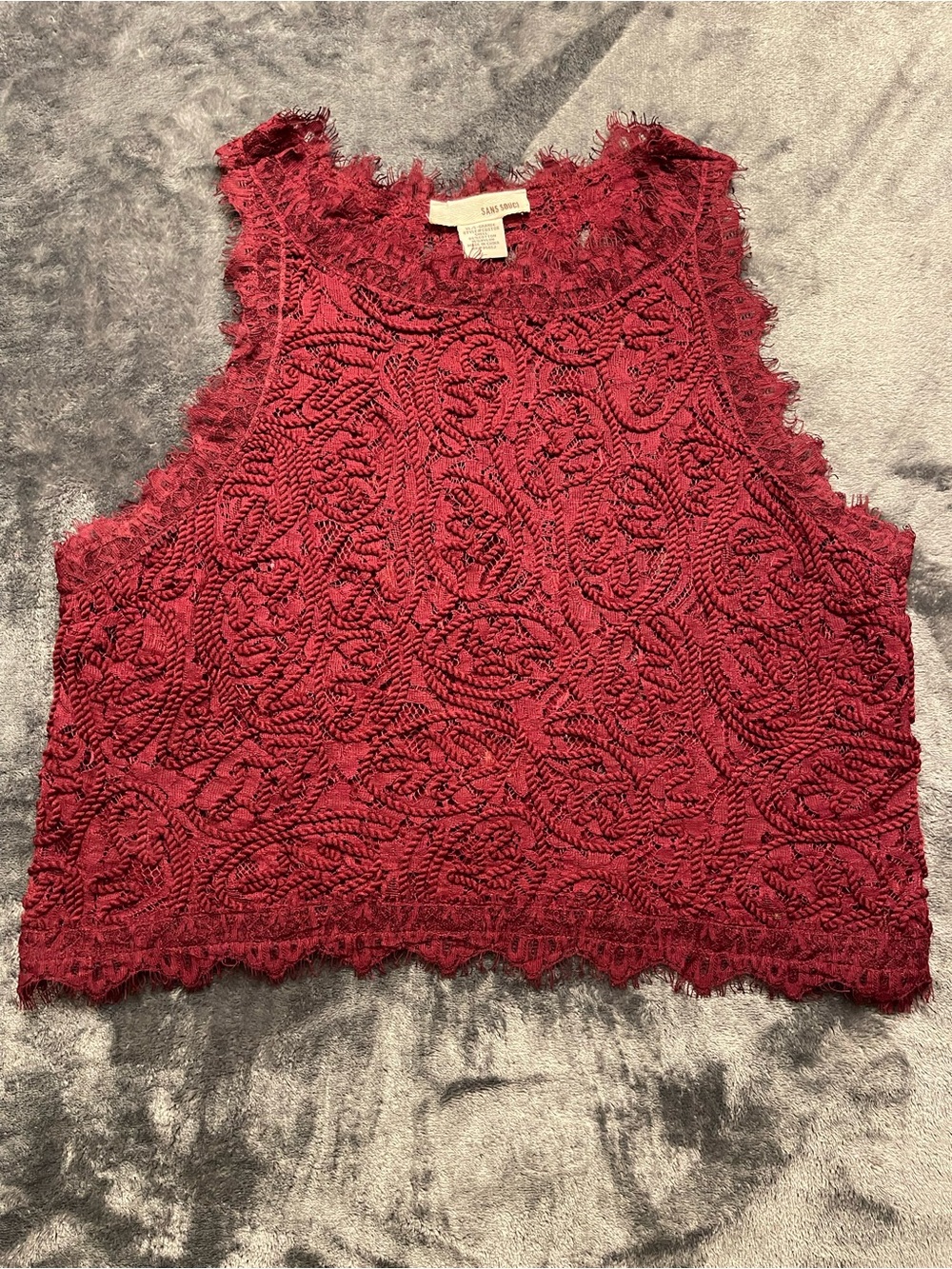 Sans Souci Wine Red Lace Cropped Tank - Picture 2 of 7
